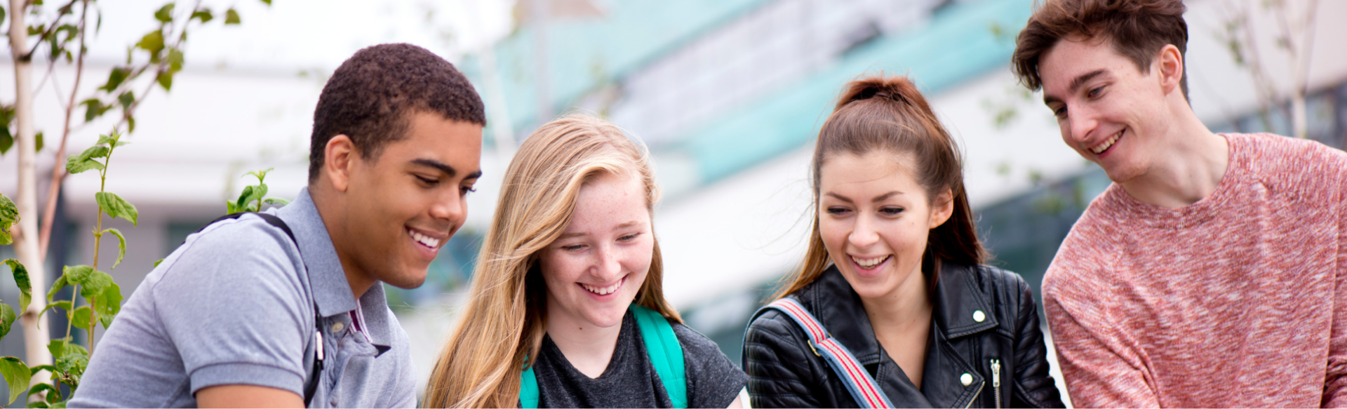 Apply for a Scholarship at CIAT