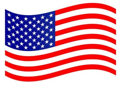 USA Flag Vector